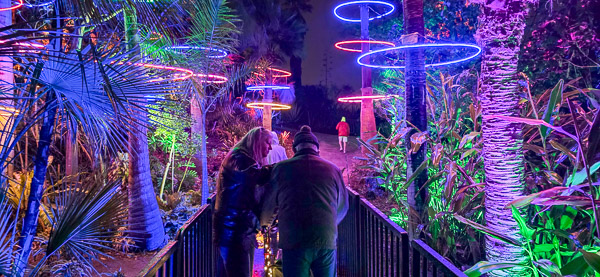 San Diego Botanic Garden - Lightscape 2025